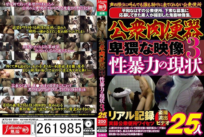 公衆肉便器 卑猥な映像 性暴力の現状3 25人