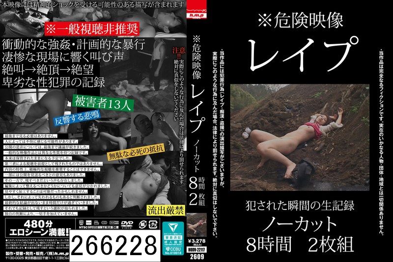 DISC1 ※危険映像 レ●プ ノーカット8時間2枚組